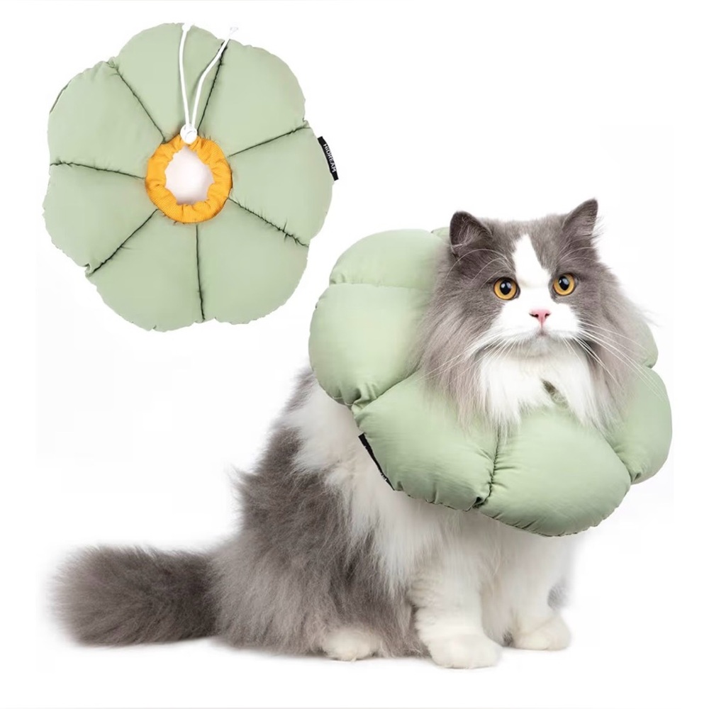NEW Cat Cone Collar Waterproof Recovery Anti-Bite Healing Safety Green Flower L